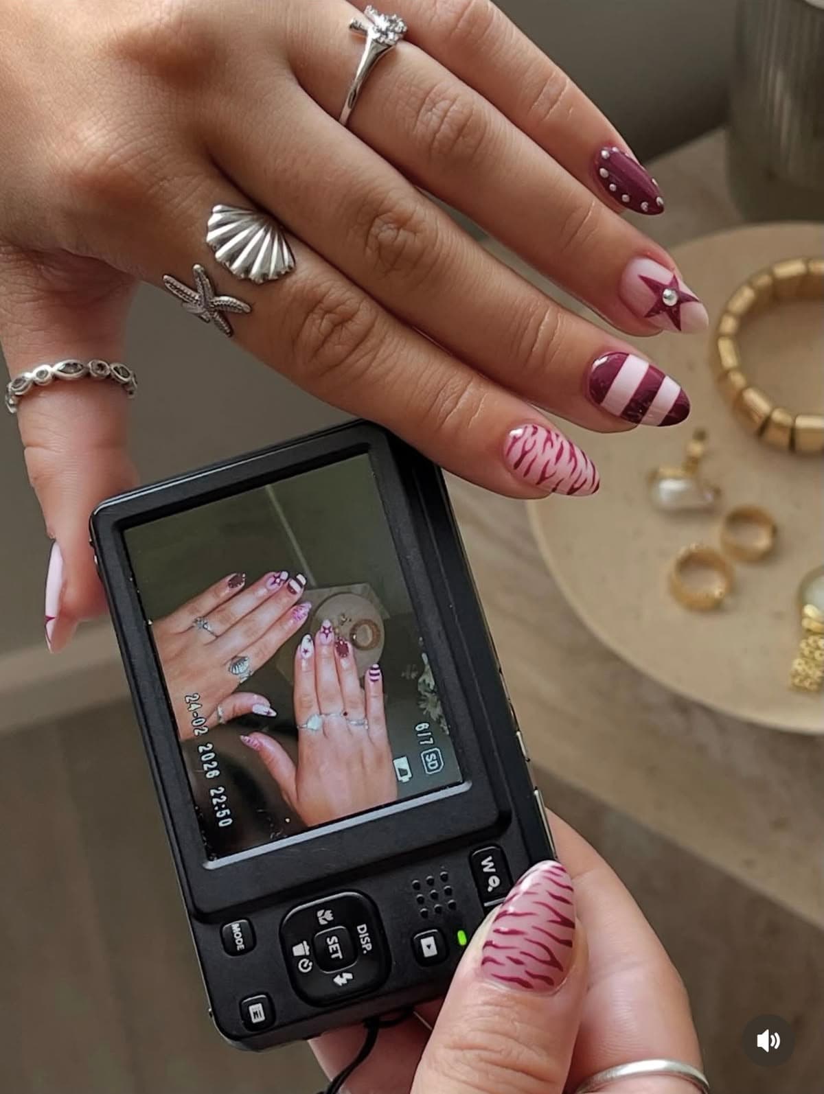 A hand with burgundy and pink hand-painted press-on nails holding a camera